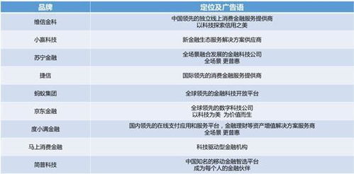 消費(fèi)金融公司品牌戰(zhàn)略升級(jí) 聚焦金融信息服務(wù)的價(jià)值重塑與生態(tài)構(gòu)建