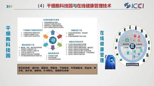 國合院發布八大規劃與產業化業務布局，賦能旅游開發項目策劃咨詢新篇章